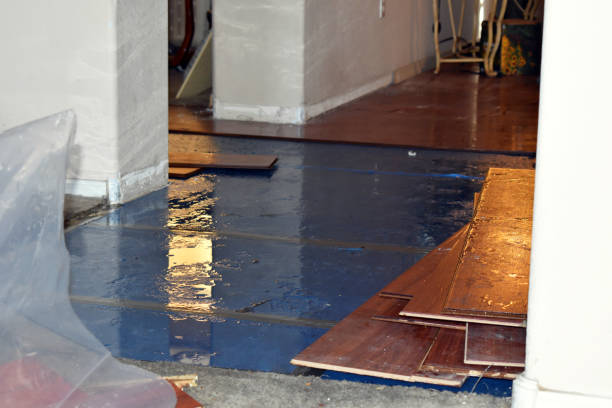 Professional Basement Flooding technician working in Durand, IL